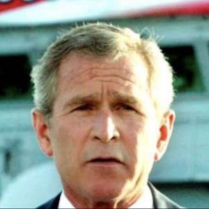 Meet your Posher, Audrey